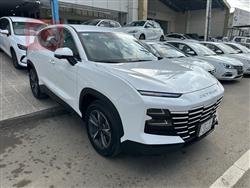 جيتور داشينج